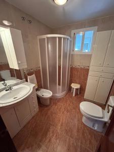 a bathroom with a shower and a toilet and a sink at Piso completo, acogedor y cerca del centro in Baeza