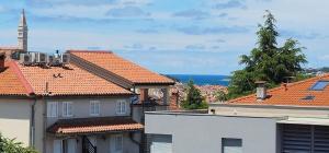 a view of the roofs of buildings and the ocean at Apartments Tena in Rovinj +41 photos