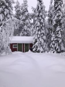 Tievaharju Cabin v zimě