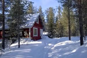 a red cabin in the snow with trees at Tievaharju Cabin in Kittilä