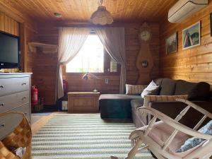 Televisyen dan/atau pusat hiburan di Tievaharju Cabin