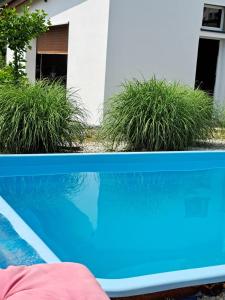 two pictures of a swimming pool with grass at Pensjonat u cioci Reni in Korfantów