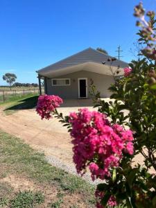 Gallery image of Tallow Wood Cottage Mudgee in Mudgee