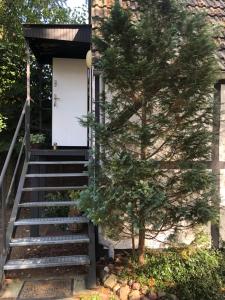 a tree standing in front of a house with stairs at Ferienhaus Plöwen MV in Plöwen +8 photos