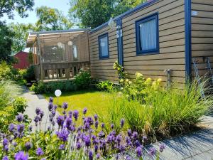 Zahrada ubytování Casa Gera Lauwersoog