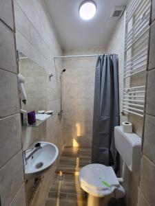a bathroom with a sink and a toilet and a shower at Casa Ratiu 3 Stele Airport Bucharest Therme Bucharest in Baloteşti +107 photos