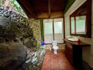 a bathroom with a toilet and a sink at Palmeras del Río HOTEL in La Viña