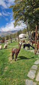 Animais na tenda de luxo ou nos arredores