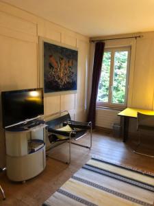 TV a/nebo společenská místnost v ubytování B&B Winterthur