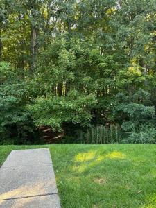 Billede fra billedgalleriet på Alumni Corner i State College