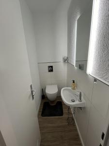 een witte badkamer met een toilet en een wastafel bij Bayreuth Apart No 7 in Bayreuth +7 foto's