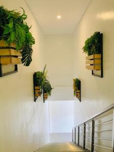 Fotografie z fotogalerie ubytování Kojõ Hotel Tagum v destinaci Tagum