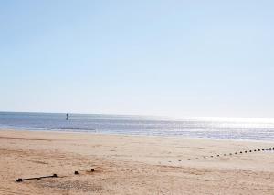 a group of birds sitting on the beach at Bridlington Holiday Cottages in Fraisthorpe