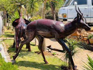 Altri animali domestici presso l'hotel o nei dintorni