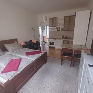 Köök või kööginurk majutusasutuses Ap 4 Alice suite near Vřídlo Collonade