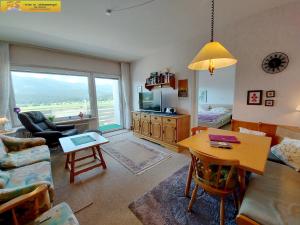 Televízia a/alebo spoločenská miestnosť v ubytovaní Apartment Ambiente