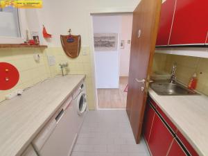 Kuchyňa alebo kuchynka v ubytovaní Apartment Adam