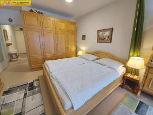 Zdjęcie z galerii obiektu Apartment Regina w mieście Bad Mitterndorf