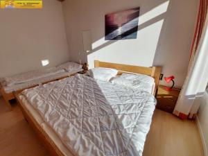Apartment Grimmingsuite客房内的一张或多张床位
