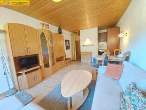 TV a/nebo společenská místnost v ubytování Apartment Sandra