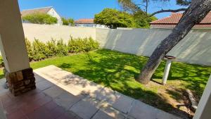 a yard with a tree and a fence at The Dunes Studio 38 in Plettenberg Bay