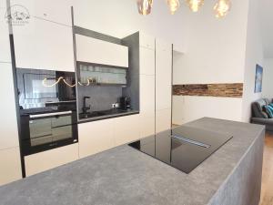 Eldhús eða eldhúskrókur á Penthouse Apartment Bergkristall