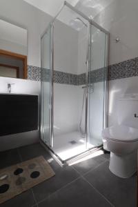 a bathroom with a shower and a toilet at Quinta do Chão do Vale in Sever do Vouga +13 photos