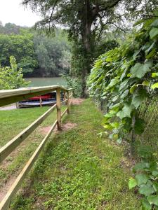 Zahrada ubytování RV located on private property, providing access to the Guadalupe River, accommodates up to 5 guests