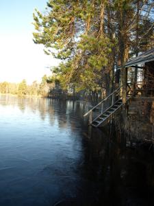 a view of a river with a house and trees at Koirasalmen Luontotupa in Kivijärvi