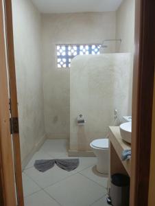 a bathroom with a toilet and a sink at Aluna Beach House Nungwi in Nungwi