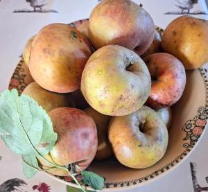 a bowl of apples and other fruit on a table at Le Lion de Brenne in Vendoeuvres