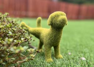Giardino di いろどり荘 ドッグラン併設 露天風呂付き