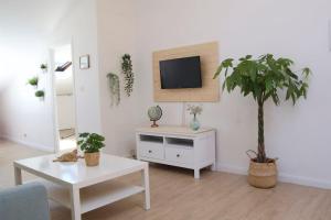 Μια τηλεόραση ή/και κέντρο ψυχαγωγίας στο Apartamento Real