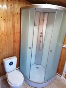 ein Badezimmer mit Toilette und Dusche in der Unterkunft La Nea Ion in Ţaul
