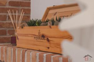 ムッジャにあるCALLE DE BERNARDIS 1 l BB APARTMENTS TRIESTEのレンガの壁の上に置かれた植物の入った木箱