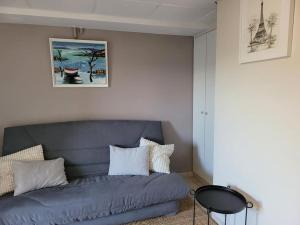 a living room with a blue couch with pillows at Charmant appartement 35 m2 avec terrasse et jardin in Domont