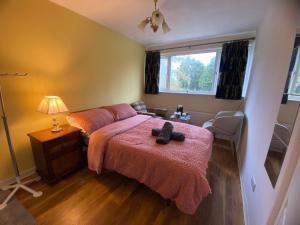 a bedroom with a bed with a teddy bear on it at The ZX Hotel - Street View - Room 2 in Reading
