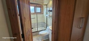 a small bathroom with a toilet and a window at Turismo y Cabañas Dragon de La Patagonia in Cochrane +18 photos
