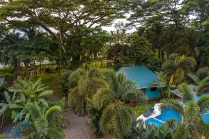 an aerial view of a resort with a pool and trees at Beachfront Villa Sea Breeze w AC and POOL in Puerto Viejo