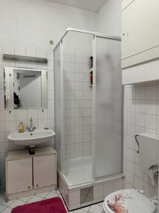 维也纳A place to relax的带淋浴、水槽和马桶的浴室