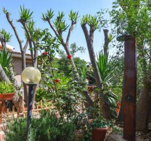 A garden outside CASA DI ALICE A 250 METRI DAL MARE