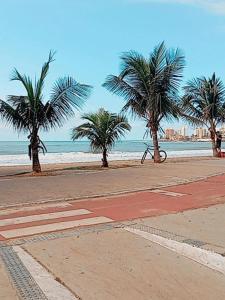 a row of palm trees on a beach with the ocean at AP Ventidor in Guarapari