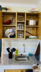 a kitchen counter top with a sink and shelves at Well Furnished Studio Apartment at Kamakis Opposite Quickmart in Ruiru