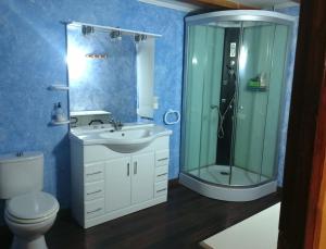 Casa Juan في Santa Olaja de Eslonza: حمام مع مرحاض ومغسلة ودش +33 صورة