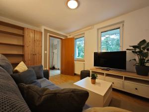 TV a/nebo společenská místnost v ubytování Lake House Sebanc
