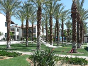 - un hamac au milieu des palmiers dans la cour du complexe dans l'établissement Legacy Villas Deluxe King Studio-Casita Near Main Pool Gym Spa Clubhouse, à La Quinta