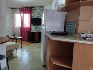 a kitchen with a white refrigerator in a room at Vila Katerina Dojran in Sretenovo