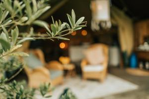 Fotografie z fotogalerie ubytování Luxe tent op het platteland v destinaci Nieuwediep + 8 fotografií