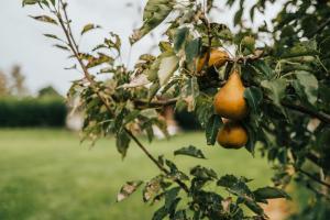 Fotografie z fotogalerie ubytování Luxe tent op het platteland v destinaci Nieuwediep