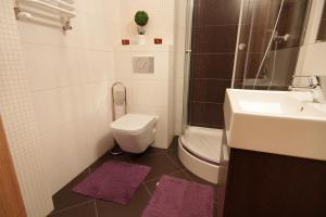 Kúpeľňa v ubytovaní ApartSerwis - Apartment U Sabały Centrum